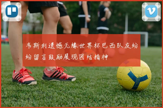 韦斯利遗憾无缘世界杯巴西队友纷纷留言鼓励展现团结精神